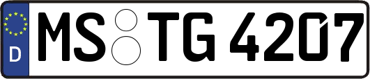 MS-TG4207