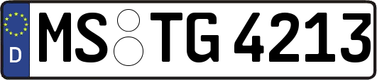 MS-TG4213