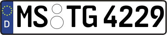 MS-TG4229