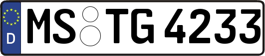 MS-TG4233