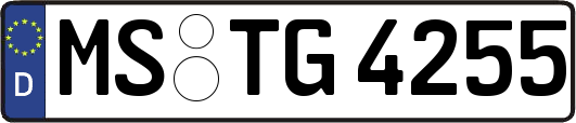 MS-TG4255