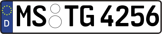 MS-TG4256