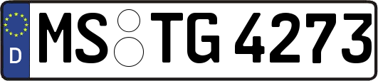 MS-TG4273