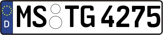 MS-TG4275