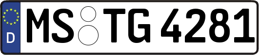 MS-TG4281