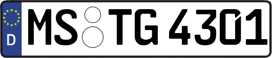 MS-TG4301