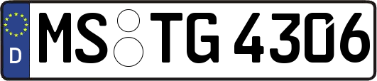 MS-TG4306