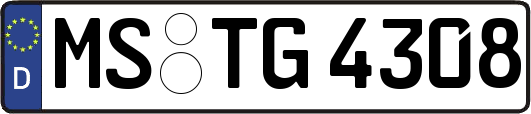MS-TG4308
