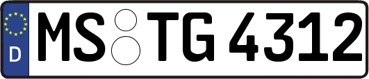 MS-TG4312