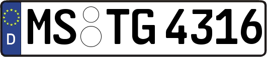 MS-TG4316