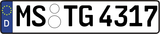 MS-TG4317