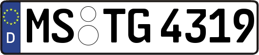 MS-TG4319