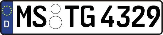 MS-TG4329