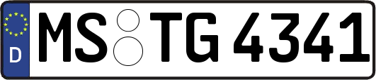 MS-TG4341
