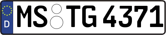 MS-TG4371
