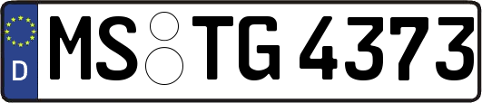 MS-TG4373
