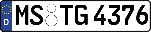MS-TG4376