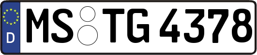 MS-TG4378