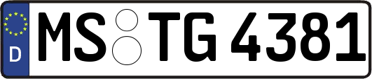 MS-TG4381