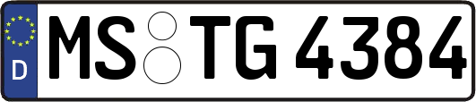 MS-TG4384