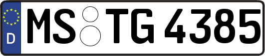 MS-TG4385