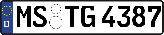 MS-TG4387