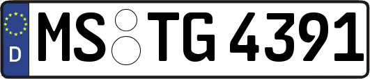 MS-TG4391