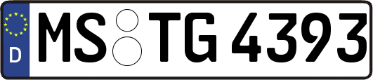 MS-TG4393