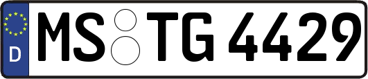 MS-TG4429