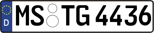 MS-TG4436