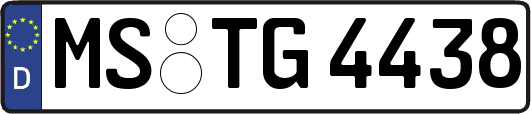 MS-TG4438