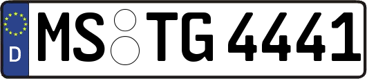 MS-TG4441