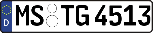 MS-TG4513
