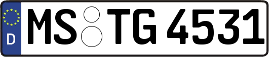 MS-TG4531