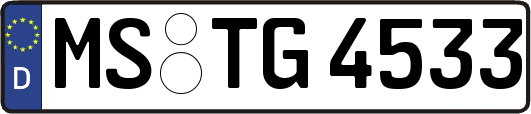 MS-TG4533