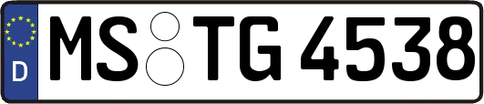 MS-TG4538