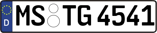 MS-TG4541