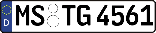 MS-TG4561