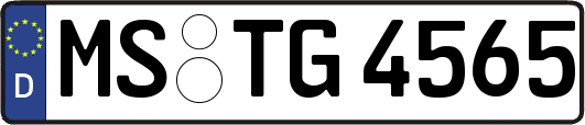 MS-TG4565