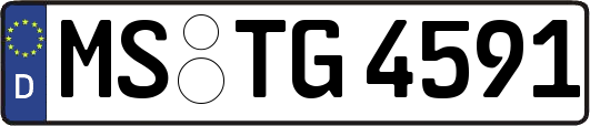 MS-TG4591