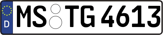 MS-TG4613
