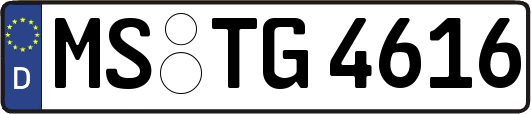 MS-TG4616