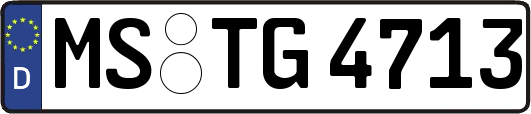 MS-TG4713