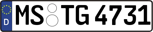 MS-TG4731
