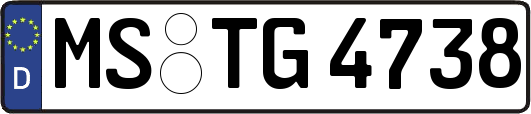 MS-TG4738