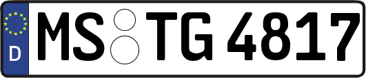 MS-TG4817