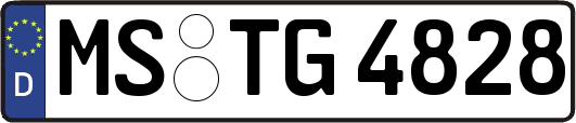 MS-TG4828