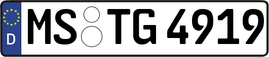 MS-TG4919