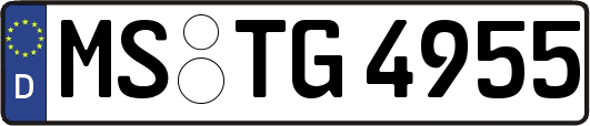 MS-TG4955