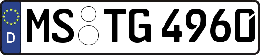 MS-TG4960